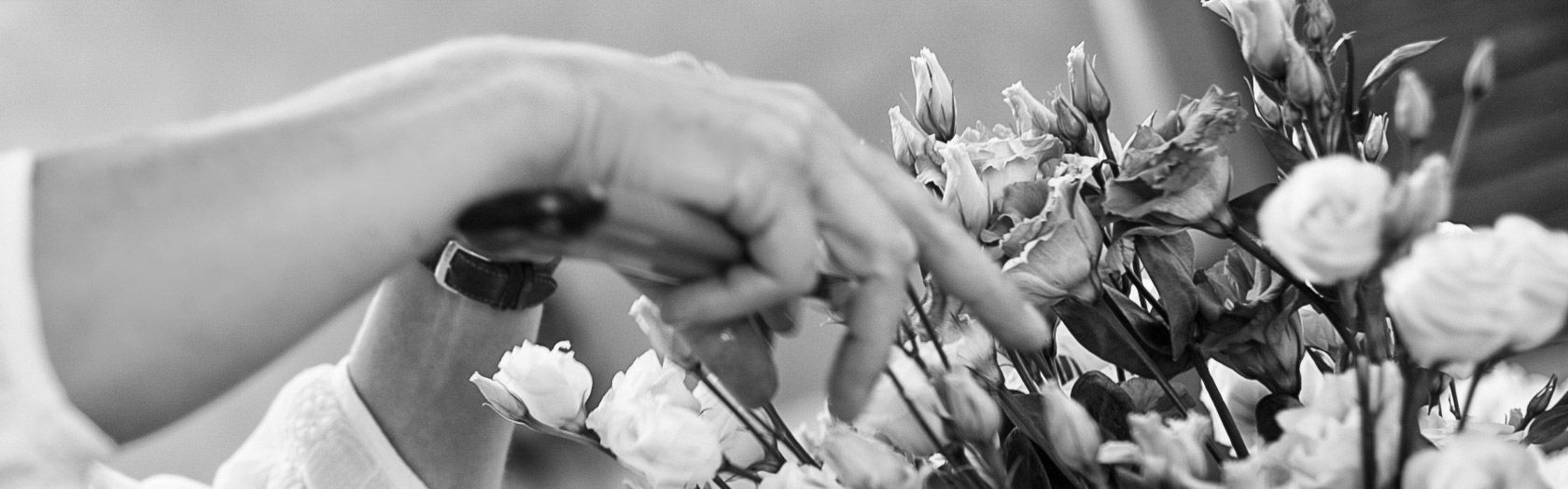 Hand richtet weiße Rosen in einem Strauß